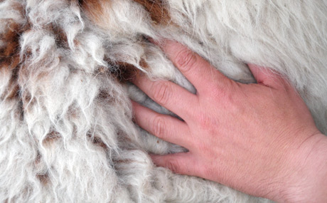 sensomotorisch perzeptive Behandlung